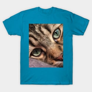 Ignatz, The Maine Coon Kitten T-Shirt